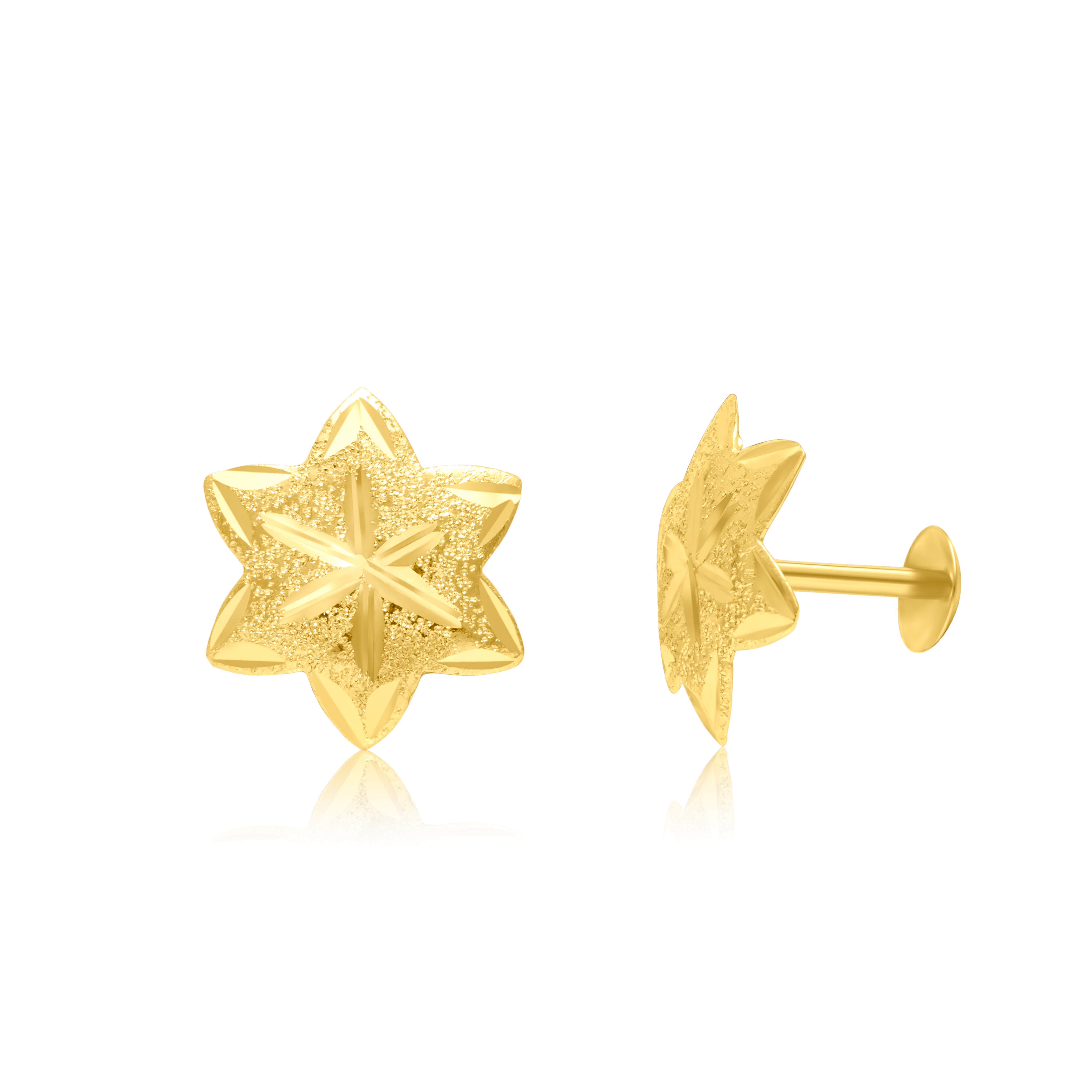 18K Pure Gold Star Screw Earring Set